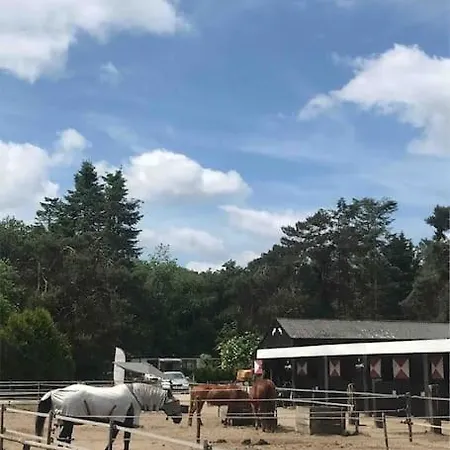 Apartmán Leuke Stacaravan Op De Veluwe / Zwembad En Manege!