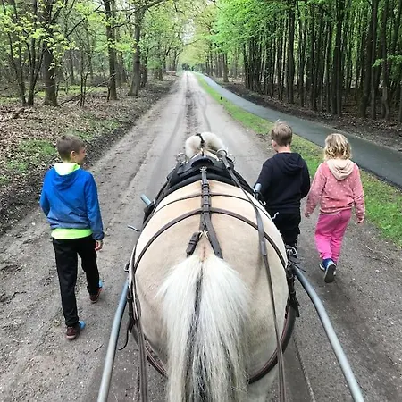 Leuke Stacaravan Op De Veluwe / Zwembad En Manege! * Nunspeet