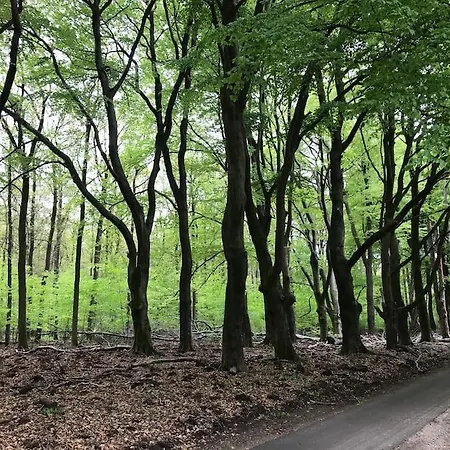 Leuke Stacaravan Op De Veluwe / Zwembad En Manege! Апартаменты